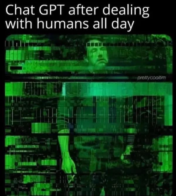 Chat GPT after dealing with humans all day