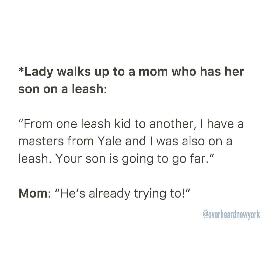 *Lady walks up to a mom who has her son on a leash: "From one leash kid to another, I have a masters from Yale and I was also on a leash. Your son is going to go far." Mom: "He's already trying to!"