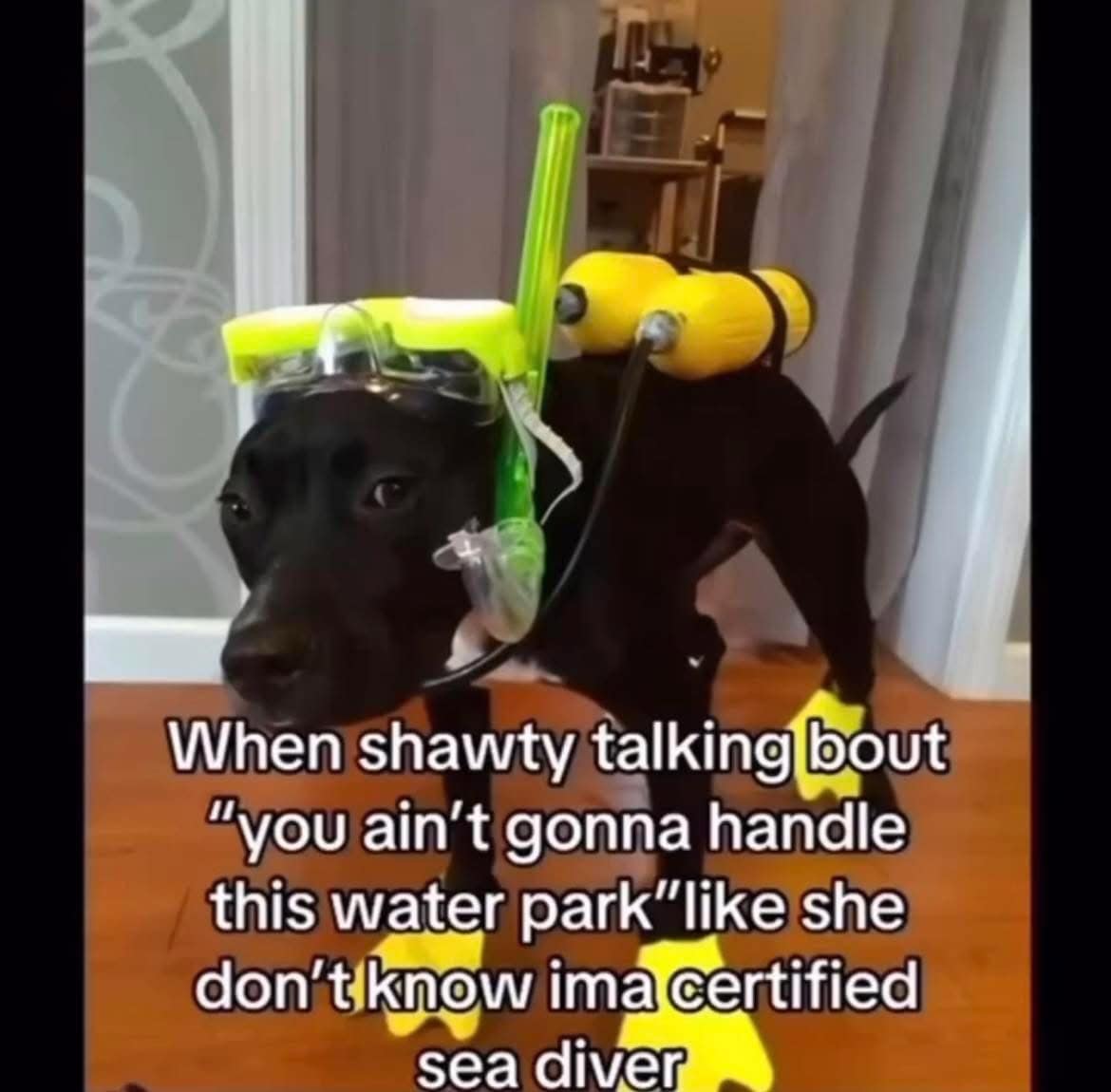 When shawty talking bout "you ain't gonna handle this water park"like she don't know ima certified sea diver