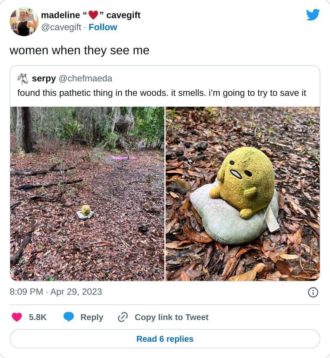 found this pathetic thing in the woods. it smells. i'm going to try to save it