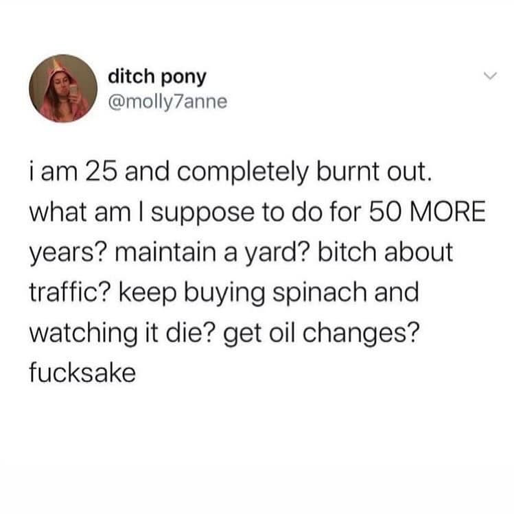 i am 25 and completely burnt out. what am I suppose to do for 50 MORE years? maintain a yard? bitch about traffic? keep buying spinach and watching it die? get oil changes?