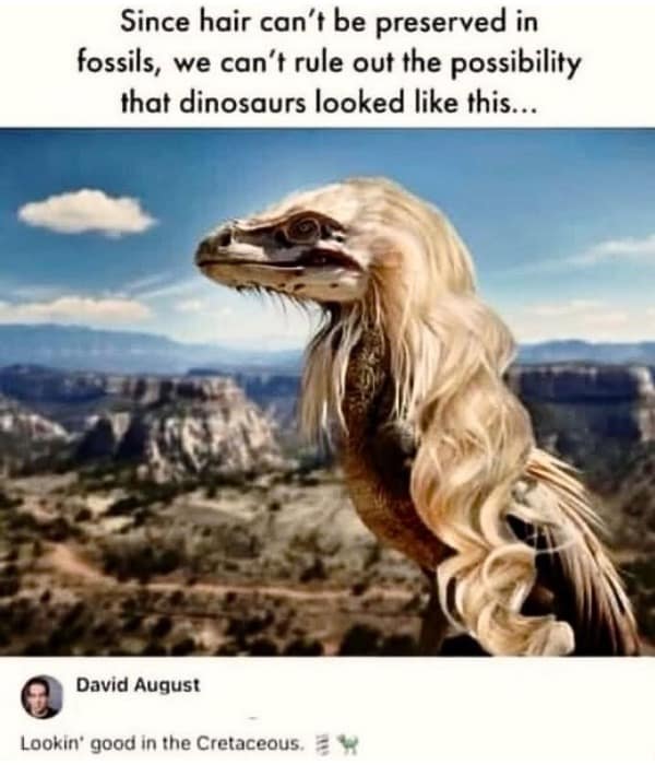 Since hair can't be preserved in fossils, we can't rule out the possibility that dinosaurs looked like this...