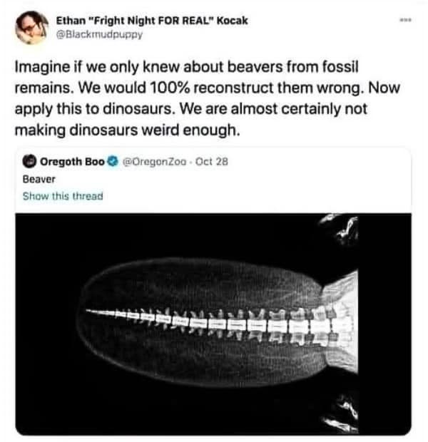 Imagine if we only knew about beavers from fossil remains. We would 100% reconstruct them wrong. Now apply this to dinosaurs. We are almost certainly not making dinosaurs weird enough.