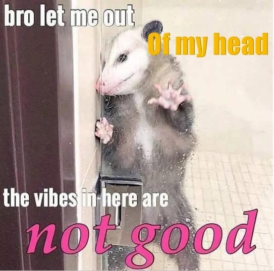 bro let me out Of my head the vibes in here are not good