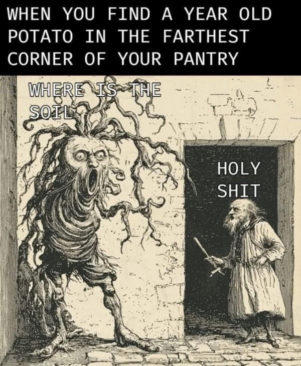 WHEN YOU FIND A YEAR OLD POTATO IN THE FARTHEST CORNER OF YOUR PANTRY WHERE SOIL