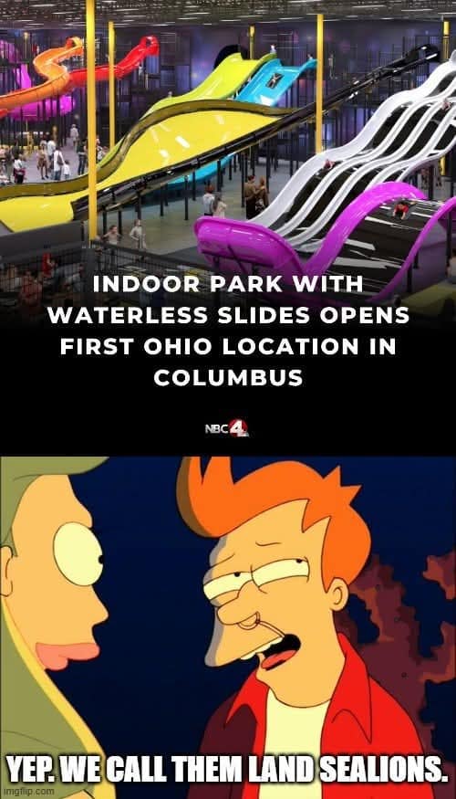 INDOOR PARK WITH WATERLESS SLIDES OPENS FIRST OHIO LOCATION IN COLUMBUS NBC YEP. WE CALL THEM LAND SEALIONS.