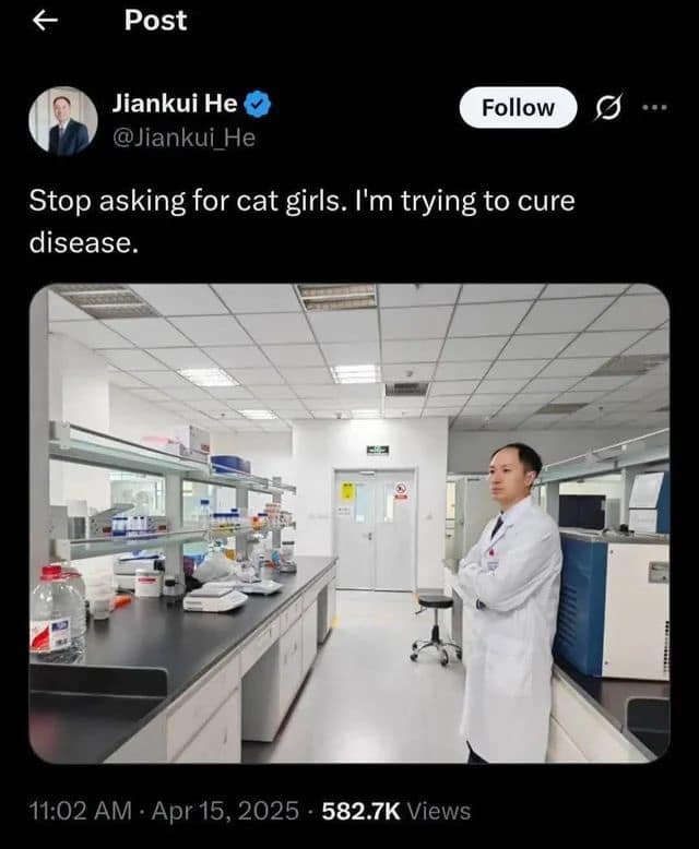 Stop asking for cat girls. I'm trying to cure disease.