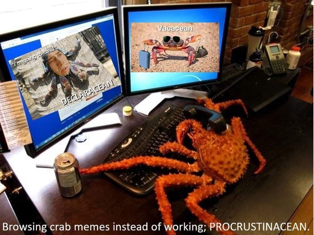 Browsing crab memes instead of working; PROCRUSTINACEAN.