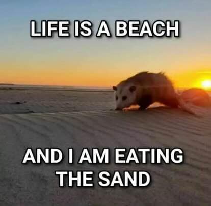 LIFE IS A BEACH AND I AM EATING THE SAND