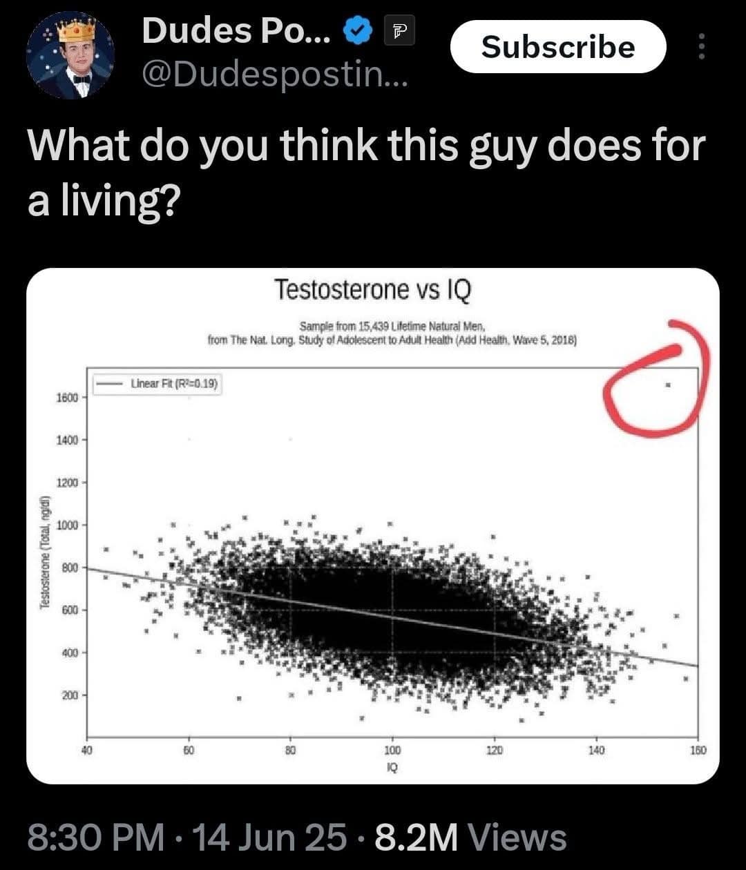 What do you think this guy does for a living?