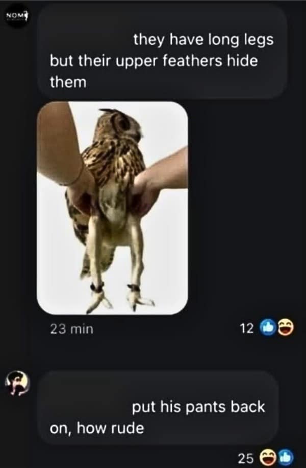 they have long legs but their upper feathers hide them