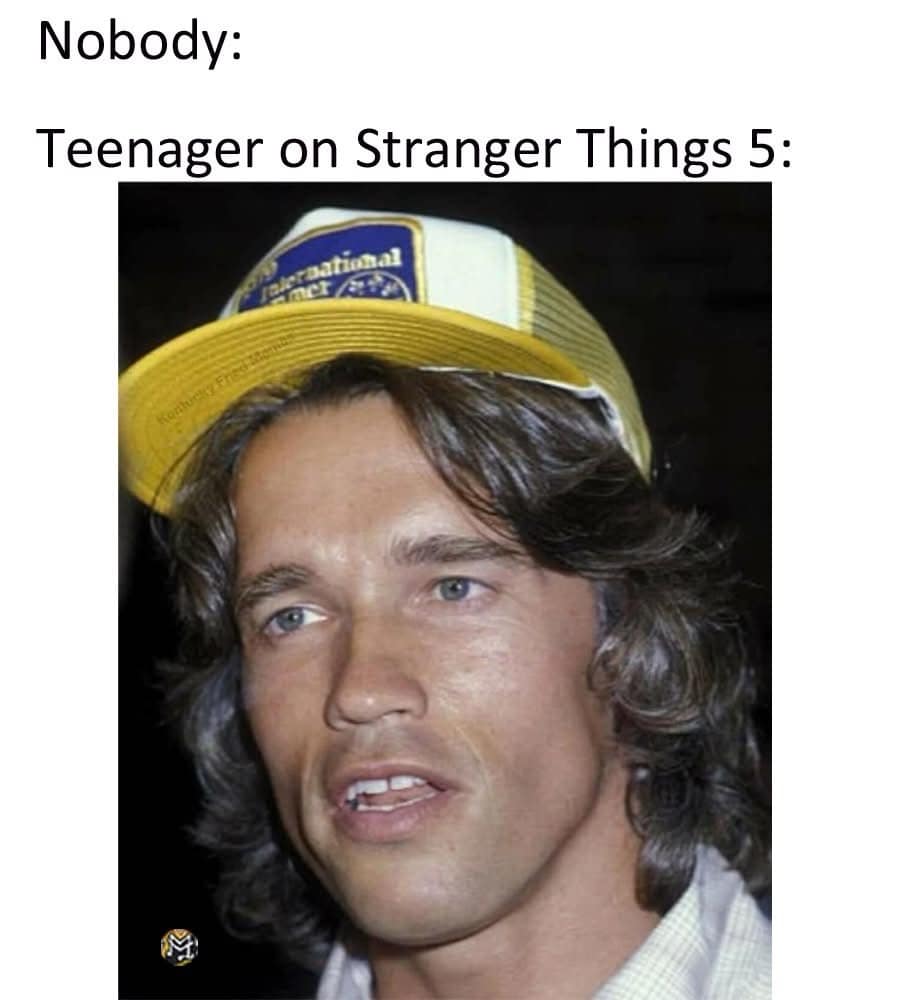 Nobody: Teenager on Stranger Things 5: