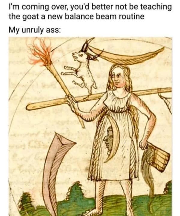 I'm coming over, you'd better not be teaching the goat a new balance beam routine