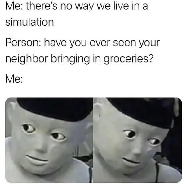 Me: there's no way we live in a simulation Person: have you ever seen your neighbor bringing in groceries? Me:
