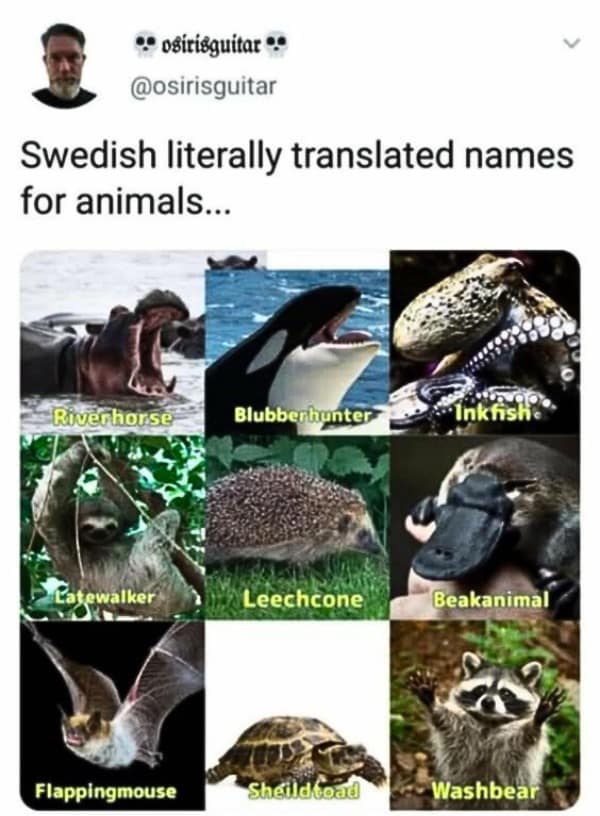 Swedish literally translated names for animals...