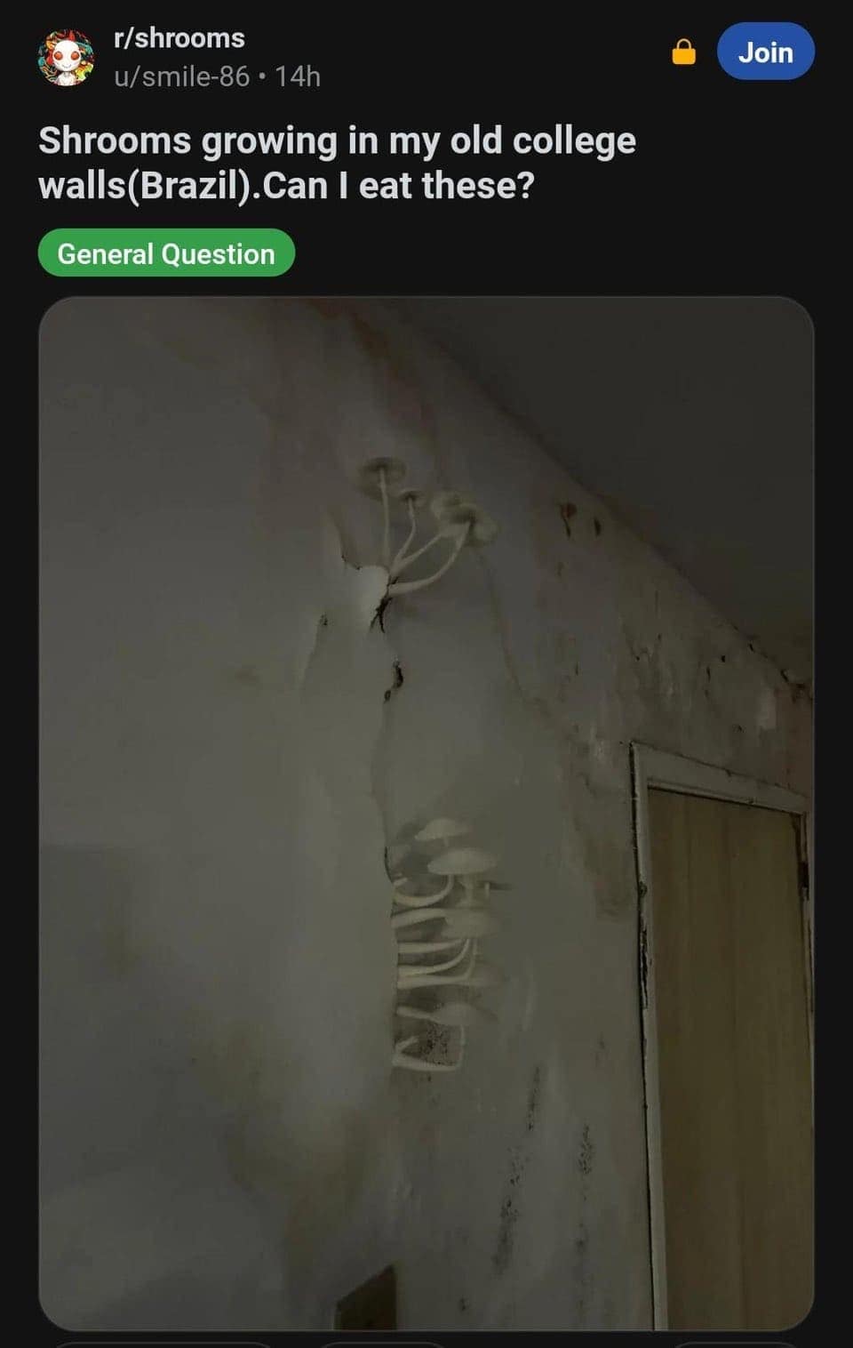 funny reddit posts, bizarre reddit bosts, Reddit humor, internet jokes, viral posts, relatable humor, internet culture, weird posts, online humor, digital jokes, absurd content