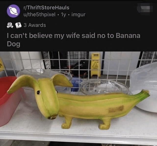 funny reddit posts, unhinged reddit, viral Reddit posts, Reddit memes, trending posts, meme posts, best Reddit threads, top Reddit comments, funny posts, group chat memes, internet jokes, wild Reddit, unhinged posts, screenshot memes, internet memes, Reddit fails, comedy posts, meme gallery, social media memes, viral jokes, Reddit chaos