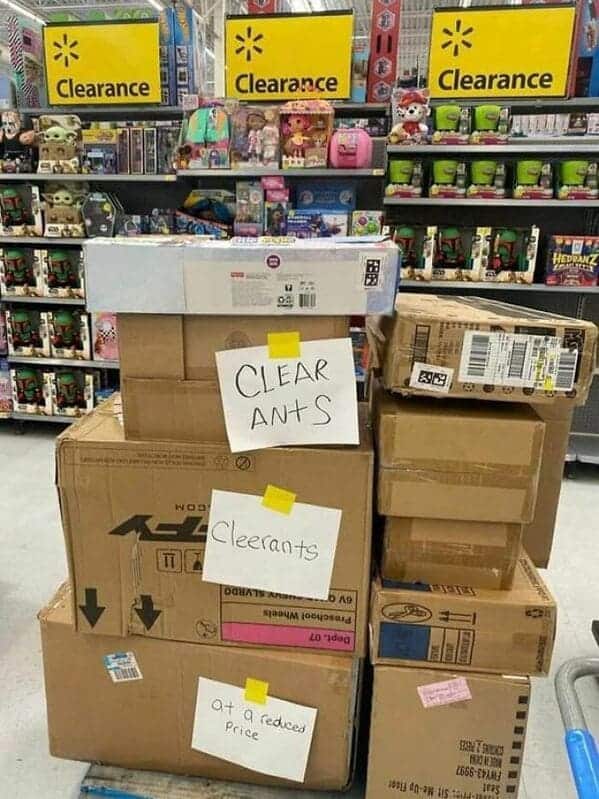 CLEAR ANtS