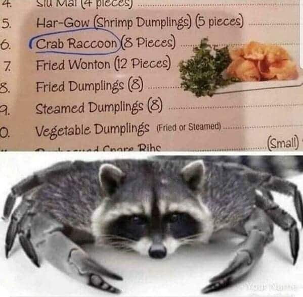 Crab Raccoon