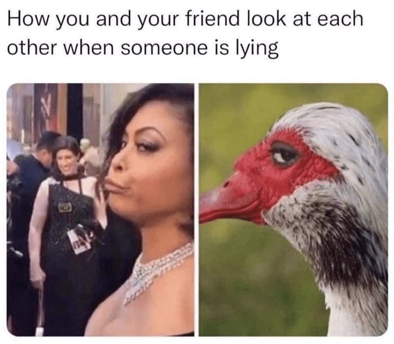 funny memes for women, woman memes, women memes, girl memes, relatable memes, female memes, memes for ladies, women humor, memes for girls, feminist memes, women tweet memes, woman jokes, girl humor, ladies memes, women funny tweets, women jokes, relatable girl memes, women comedy, millennial women memes, women laugh memes, women meme collection