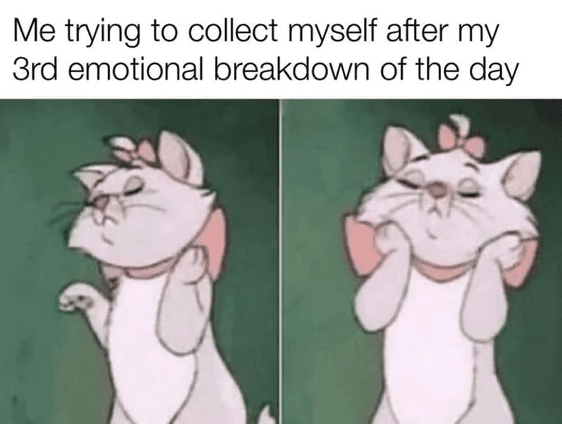funny memes for women, woman memes, women memes, girl memes, relatable memes, female memes, memes for ladies, women humor, memes for girls, feminist memes, women tweet memes, woman jokes, girl humor, ladies memes, women funny tweets, women jokes, relatable girl memes, women comedy, millennial women memes, women laugh memes, women meme collection