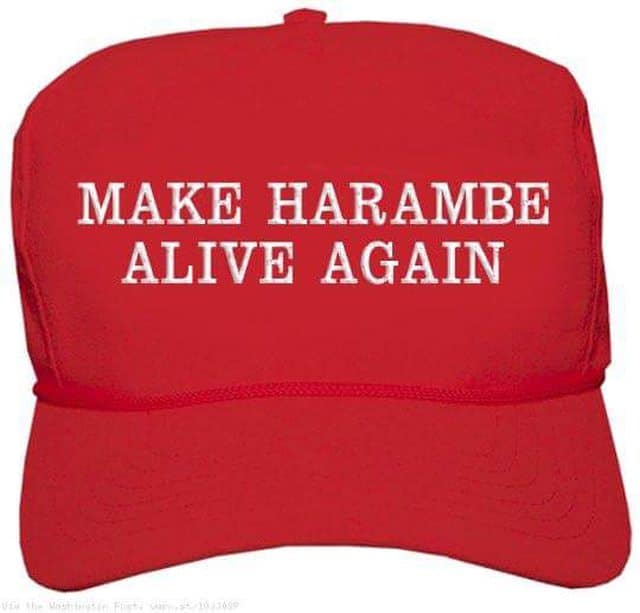 harambe memes, Harambe, gorilla memes, dank memes, meme tribute, viral memes, nostalgic memes, animal memes, Harambe jokes, gorilla humor, meme dump, funny memes, zoo memes, 2016 memes, legendary memes, viral gorilla, meme collection, internet culture, tribute memes