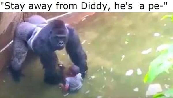 Harambe Rizz Harambe Memes: 25 Gorilla-Sized Laughs, Nine Years Later