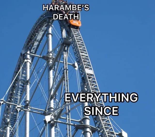 harambe memes, Harambe, gorilla memes, dank memes, meme tribute, viral memes, nostalgic memes, animal memes, Harambe jokes, gorilla humor, meme dump, funny memes, zoo memes, 2016 memes, legendary memes, viral gorilla, meme collection, internet culture, tribute memes