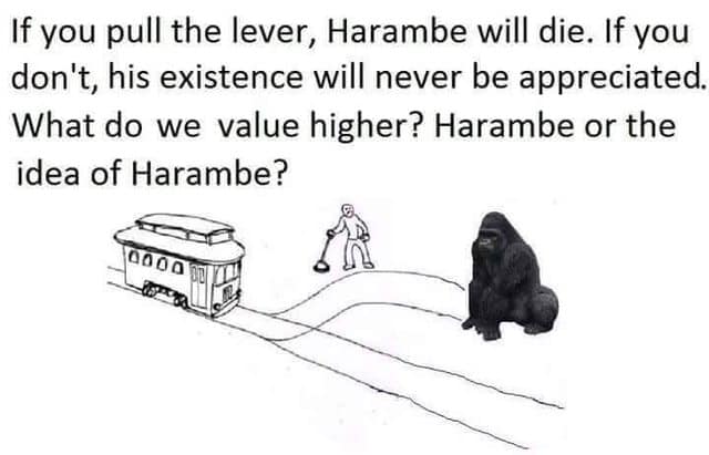 harambe memes, Harambe, gorilla memes, dank memes, meme tribute, viral memes, nostalgic memes, animal memes, Harambe jokes, gorilla humor, meme dump, funny memes, zoo memes, 2016 memes, legendary memes, viral gorilla, meme collection, internet culture, tribute memes