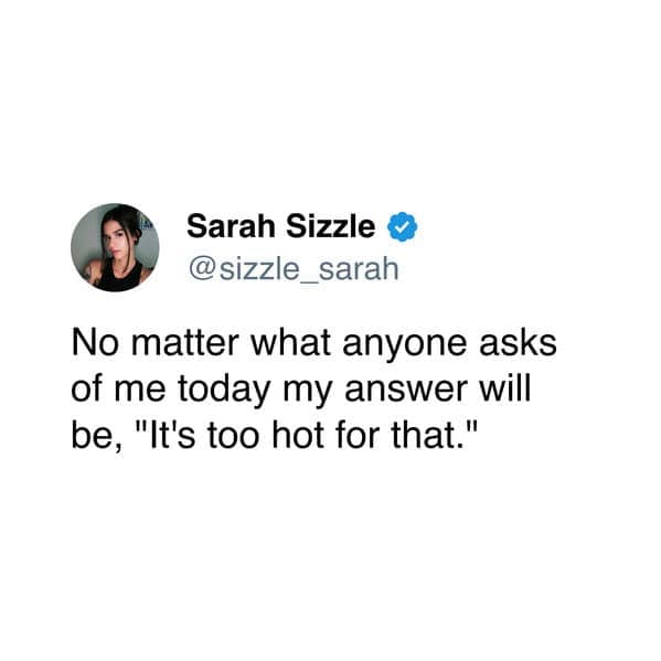 No matter what anyone asks of me today my answer will be, "It's too hot for that."