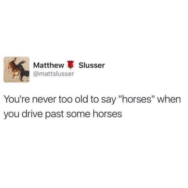 horse girl meme, horse girl memes, horse memes, equestrian memes, barn memes, animal memes, funny horse memes, stable memes, horse humor, horse life memes, pony memes, saddle memes, horse lover memes, pet memes, barn life memes, horse riding memes, chaotic memes, farm memes, animal lover memes, viral memes