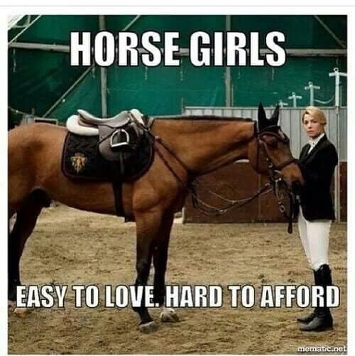 horse girl meme, horse girl memes, horse memes, equestrian memes, barn memes, animal memes, funny horse memes, stable memes, horse humor, horse life memes, pony memes, saddle memes, horse lover memes, pet memes, barn life memes, horse riding memes, chaotic memes, farm memes, animal lover memes, viral memes