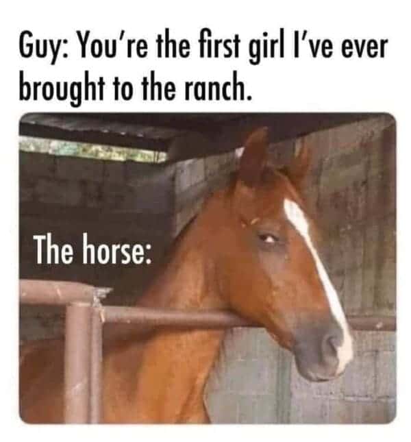 horse girl meme, horse girl memes, horse memes, equestrian memes, barn memes, animal memes, funny horse memes, stable memes, horse humor, horse life memes, pony memes, saddle memes, horse lover memes, pet memes, barn life memes, horse riding memes, chaotic memes, farm memes, animal lover memes, viral memes