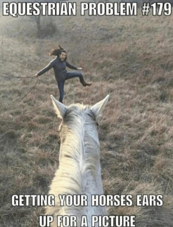 horse girl meme, horse girl memes, horse memes, equestrian memes, barn memes, animal memes, funny horse memes, stable memes, horse humor, horse life memes, pony memes, saddle memes, horse lover memes, pet memes, barn life memes, horse riding memes, chaotic memes, farm memes, animal lover memes, viral memes