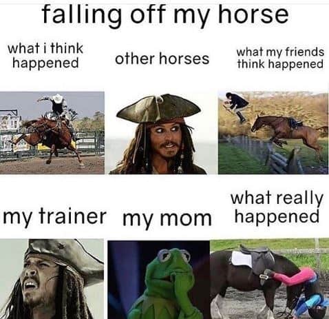 horse girl meme, horse girl memes, horse memes, equestrian memes, barn memes, animal memes, funny horse memes, stable memes, horse humor, horse life memes, pony memes, saddle memes, horse lover memes, pet memes, barn life memes, horse riding memes, chaotic memes, farm memes, animal lover memes, viral memes