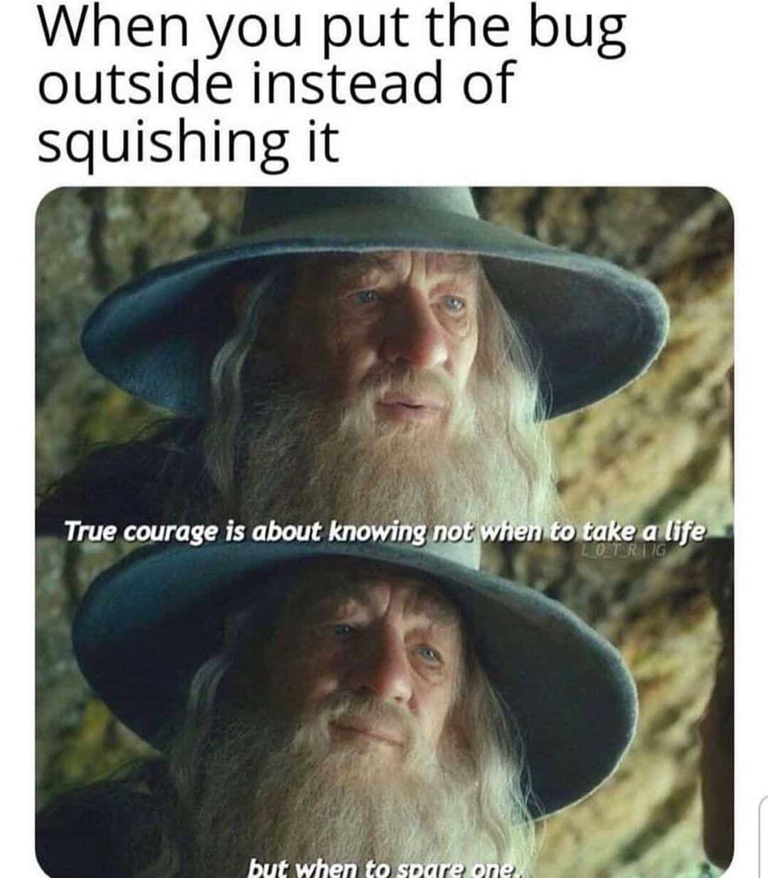 lotr memes, lord of the rings memes, Tolkien memes, movie memes, book memes, Rings of Power memes, hobbit memes, Middle-earth memes, fantasy memes, Gandalf memes, Sauron memes, meme gallery, Frodo memes, fellowship memes, viral memes, fandom memes, nerd memes, Bilbo memes, orc memes, extended edition memes