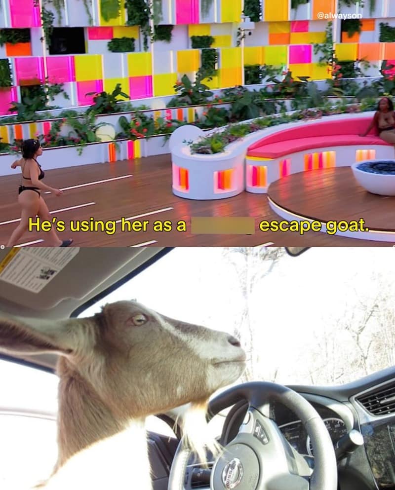 Love island usa memes, love island memes, reality TV memes, season 7 memes, dating show memes, viral reactions, villa drama, trending memes, recoupling memes, bombshell memes, group chat memes, fan reactions, reality show moments, meme roundup, villa chaos, TV moments, Love Island reactions, funny TV memes, awkward TV memes, viral TV moments, USA season 7 jokes