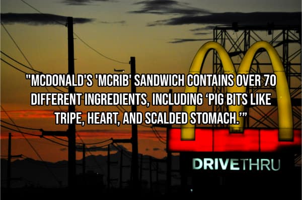 "MCDONALD'S MCRIB' SANDWICH CONTAINS OVER 70 DIFFERENT INGREDIENTS, INCLUDING PIG BITS LIKE TRIPE, HEART, AND SCALDED STOMACH.'*