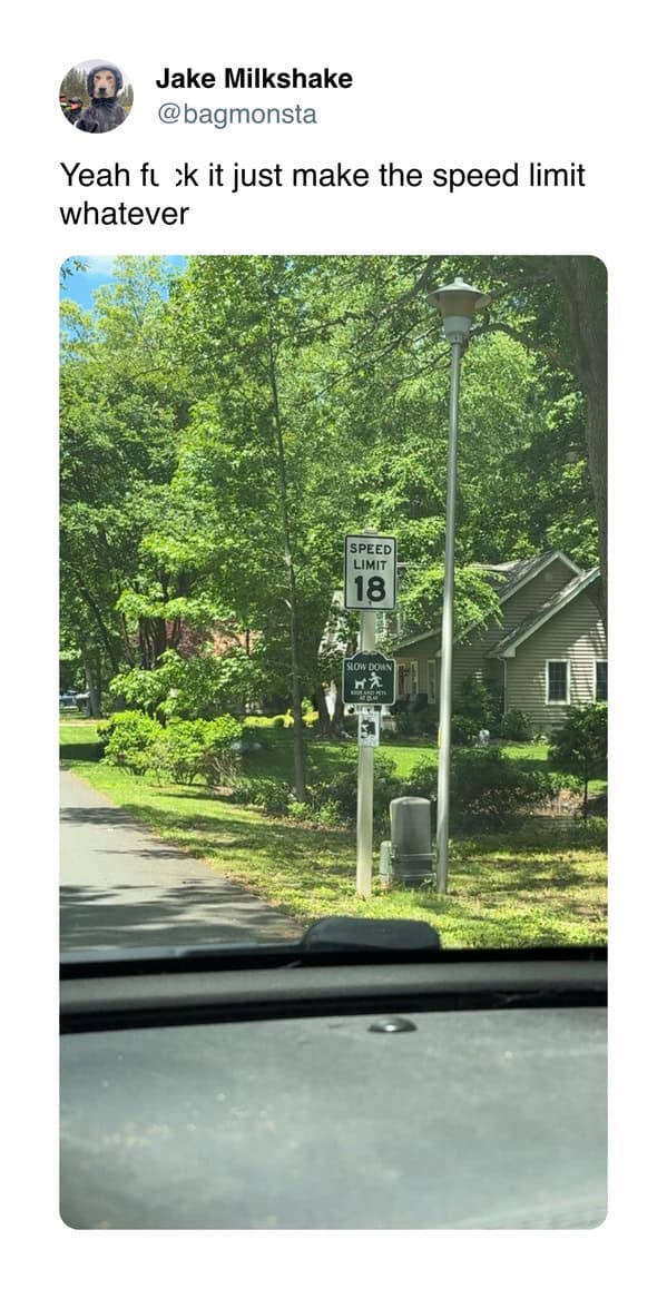 meme dump, funny memes, hilarious memes, meme collection, comedic spree, batch of memes, comedic images, laugh-worthy posts, side-splitting visuals, comedic snapshots, lazy Sunday memes, weekend humor, procrastination jokes, dank memes, dank meme dump, memes funny