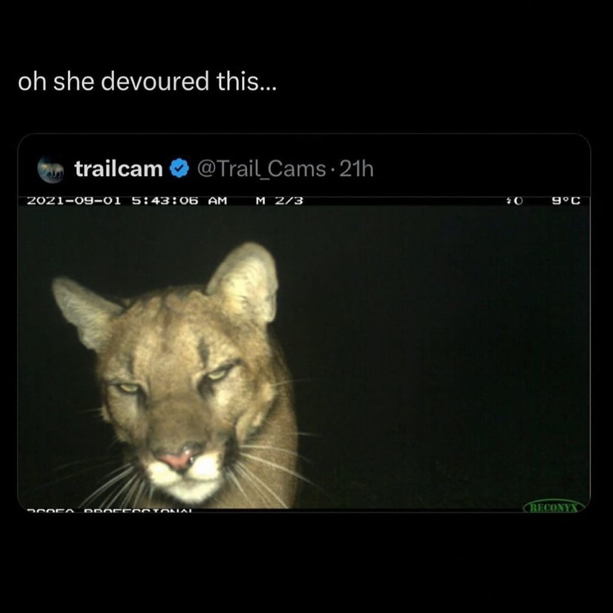 meme dump, funny memes, hilarious memes, trending memes, internet memes, viral memes, fresh memes, relatable memes, top memes, meme gallery, meme collection, meme scroll, daily memes, office memes, viral content, meme page, meme roundup, shareable memes, meme break, meme distraction