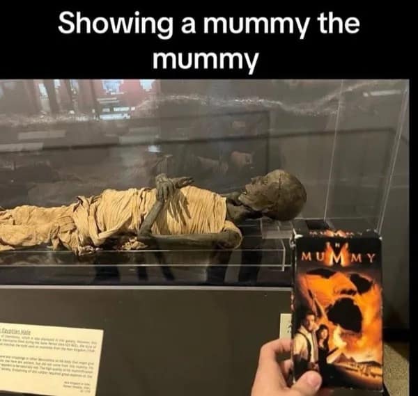 meme dump, funny memes, hilarious memes, meme collection, work memes, office memes, workplace humor, professional memes life memes, everyday memes, relatable memes, sarcastic life humor, lunchtime memes, break memes, lunchtime laughs, midday humor, meme gallery, dank memes, dank meme dump