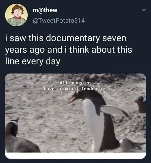 meme dump, funny memes, hilarious memes, trending memes, internet memes, viral memes, fresh memes, relatable memes, top memes, meme gallery, meme collection, meme scroll, daily memes, office memes, viral content, meme page, meme roundup, shareable memes, meme break, meme distraction