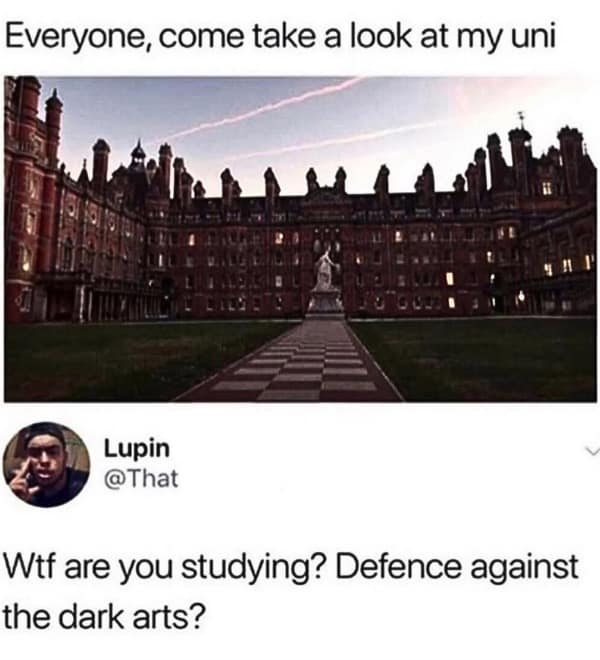 Everyone, come take a look at my uni Lupin @That Wtf are you studying? Defence against the dark arts?