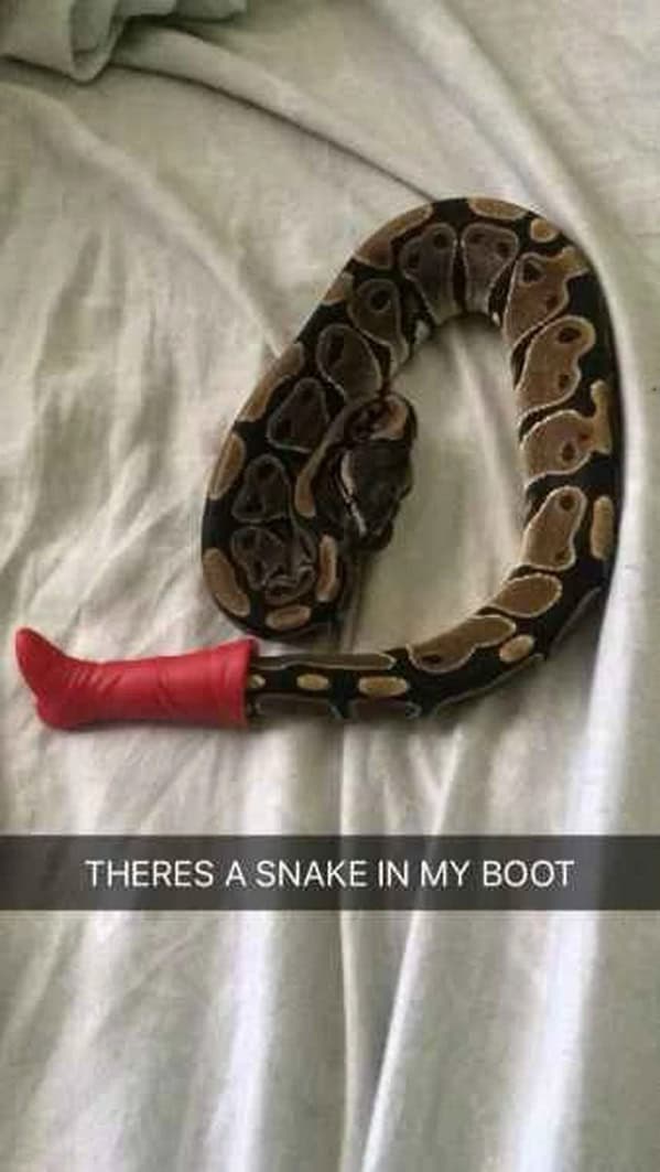 meme dump, funny memes, hilarious memes, meme collection, work memes, office memes, workplace humor, professional memes life memes, everyday memes, relatable memes, sarcastic life humor, lunchtime memes, break memes, lunchtime laughs, midday humor, meme gallery, dank memes, dank meme dump