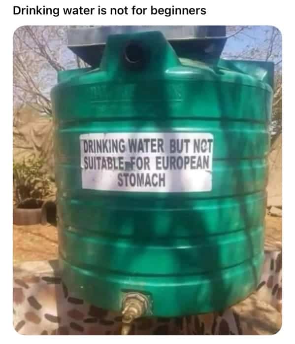 meme dump, funny memes, hilarious memes, meme collection, work memes, office memes, workplace humor, professional memes life memes, everyday memes, relatable memes, sarcastic life humor, lunchtime memes, break memes, lunchtime laughs, midday humor, meme gallery, dank memes, dank meme dump