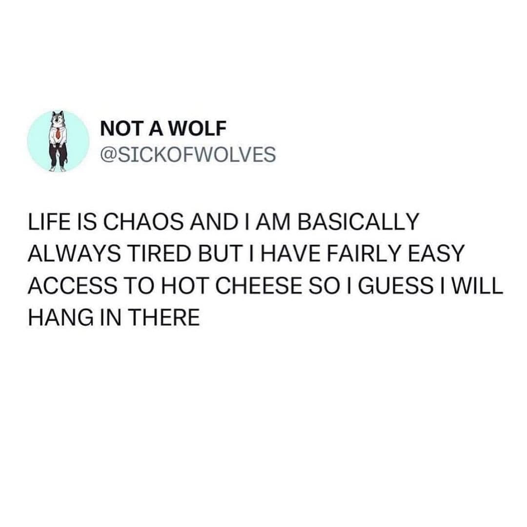 NOT A WOLF @SICKOFWOLVES LIFE IS CHAOS AND I AM BASICALLY ALWAYS TIRED BUT I HAVE FAIRLY EASY ACCESS TO HOT CHEESE SO I GUESS I WILL HANG IN THERE