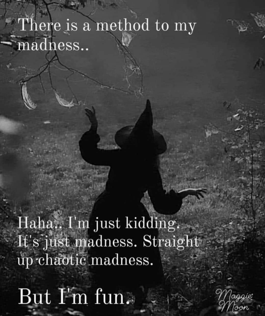 There is a method to my madness.. Haha. I'm just kidding. It's just madness. Straight up chaotic madness. But I'm fun. Vaggie Moon