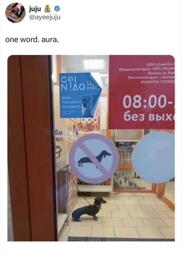 juju @ayeejuju one word. aura. CAI DOChUDA D TOCTAMATE Ва HET! فلا ский дирес: 119311, Моска Ранении, пр. Вер антический заресі к Екатур» ИНН/ОГРН: 77297053 08:00- без вых