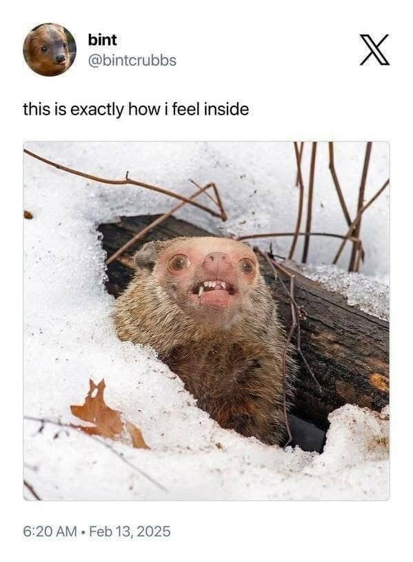 meme dump, funny memes, hilarious memes, viral memes, internet meme, dank memes, meme collection, meme stash, best memes, trending memes, fresh memes, laugh memes, humor memes, meme roundup, lunch break memes, meme batch, meme bundle, internet memes, top memes, comedy memes, meme binge, memes funny