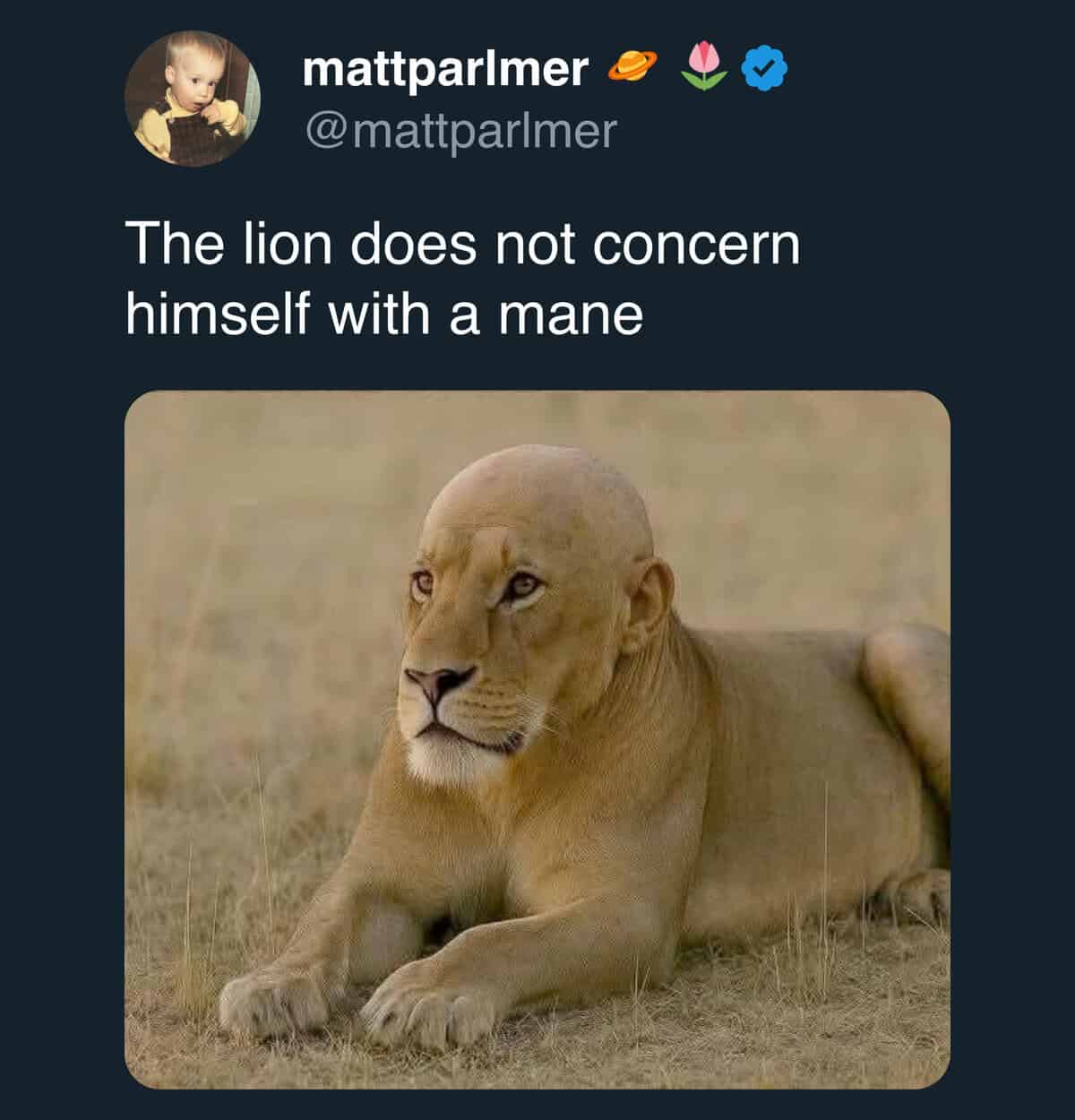 meme dump, funny memes, hilarious memes, viral memes, internet meme, dank memes, meme collection, meme stash, best memes, trending memes, fresh memes, laugh memes, humor memes, meme roundup, lunch break memes, meme batch, meme bundle, internet memes, top memes, comedy memes, meme binge, memes funny